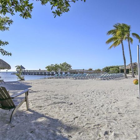 Vitamin Sea Tavernier Экстерьер фото